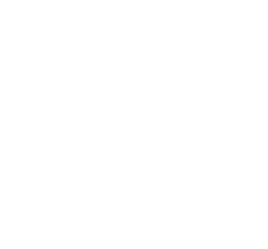 What is PEMMEX® Finance?